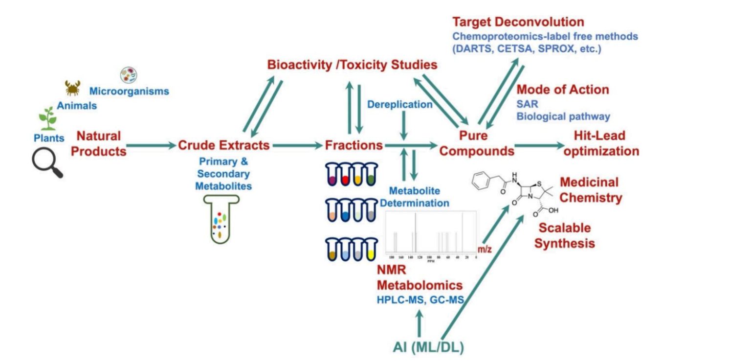 AI in Natural Product Drug Discovery: Now & Next - AI-augmented ...